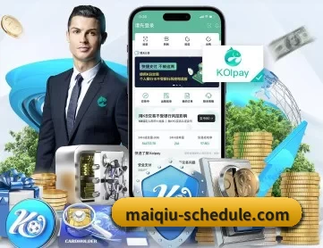 世界杯买球 APP 深度功能