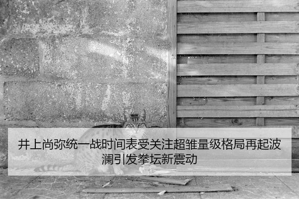 井上尚弥统一战时间表受关注超雏量级格局再起波澜引发拳坛新震动